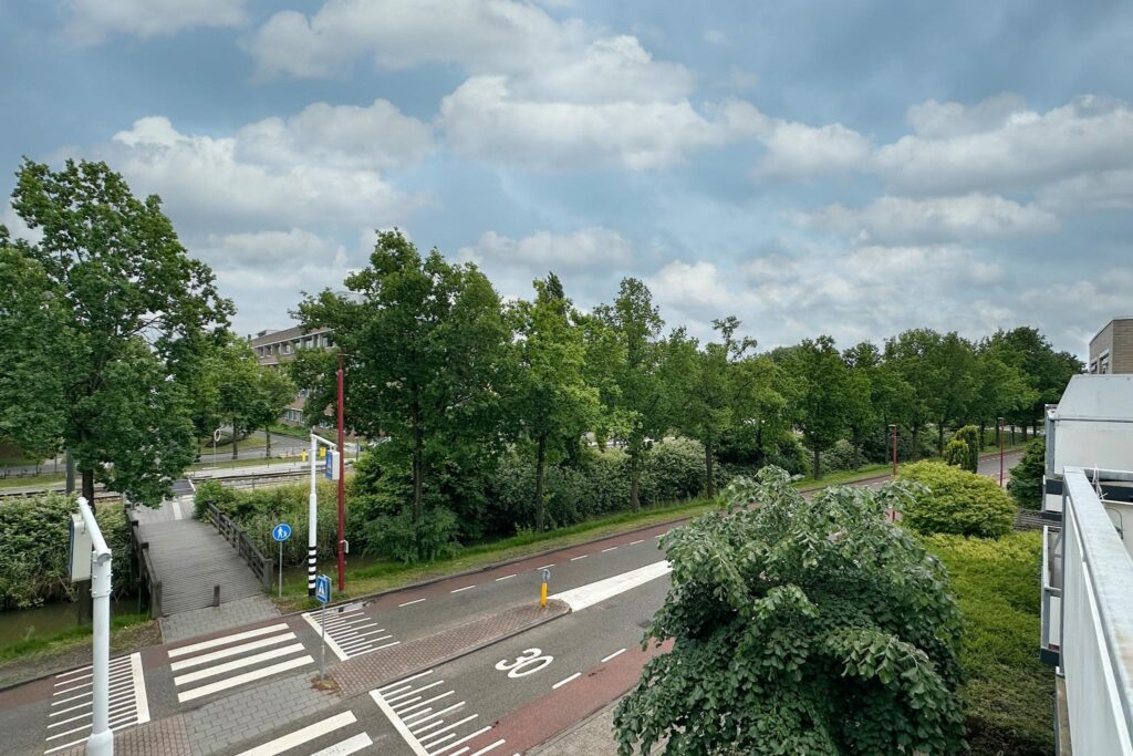 Specht 25 – Foto 14