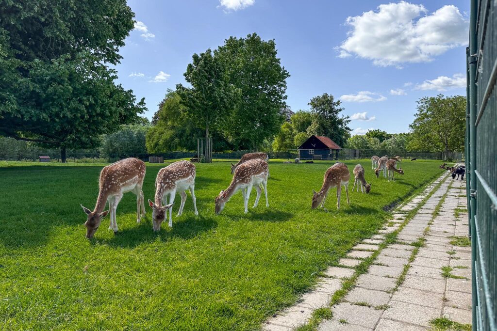 Buitenlandpoort 28 – Foto 60