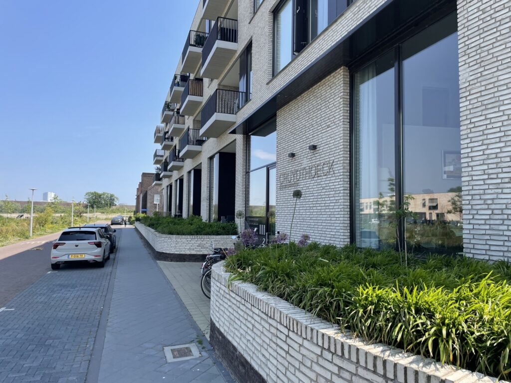 Wilde rucolavliet 53 – Foto