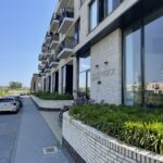 Wilde rucolavliet 53 – Foto