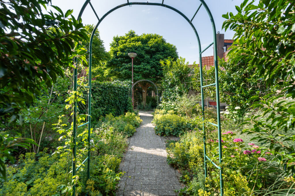 Zwaluw 50 – Foto 57