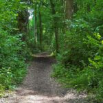 Lekdijk 44 – Foto 47