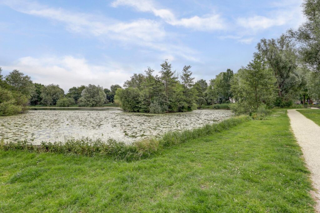 Vuurvlinderberm 8 – Foto 7