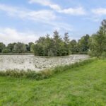Vuurvlinderberm 8 – Foto 7