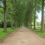 Valkenkamp 445 – Foto 30