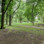 Cobradreef 16 – Foto 47