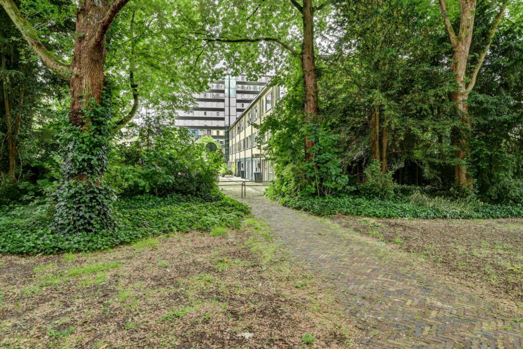 Cobradreef 16 – Foto 50