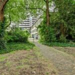 Cobradreef 16 – Foto 50