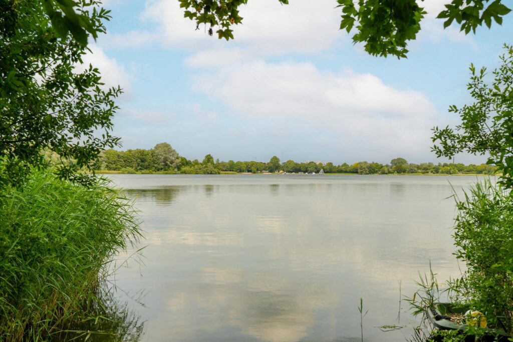 Boerenzwaluwpad 16 – Foto 42