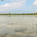 Boerenzwaluwpad 16 – Foto 41