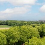 Livingstonelaan 624 – Foto 14