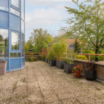 Zomervlinderberm 64 – Foto 17