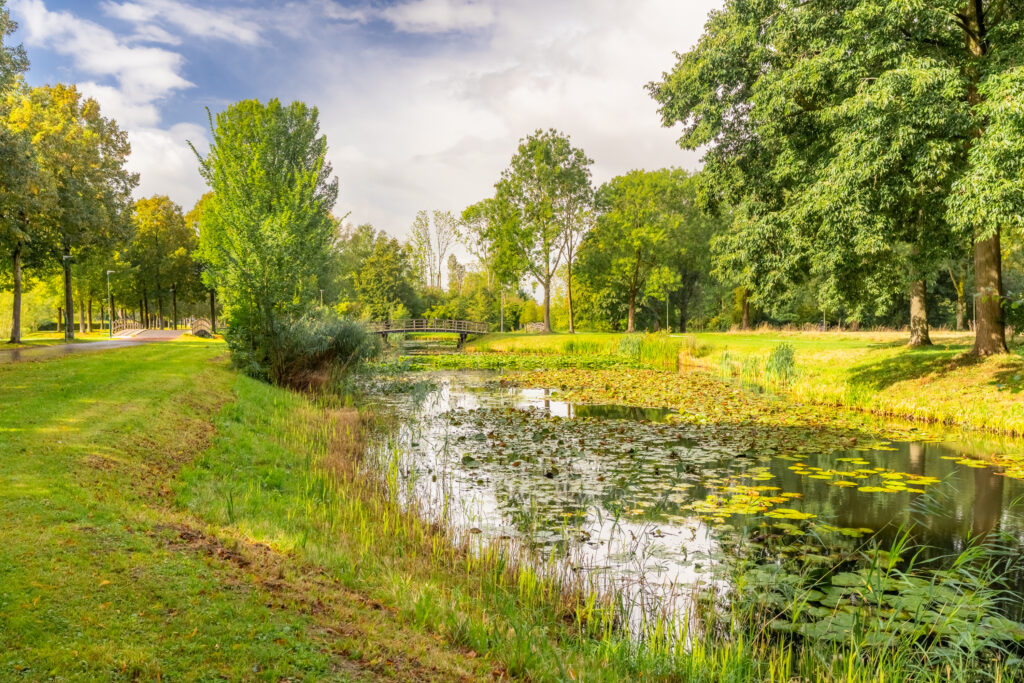 Zomervlinderberm 64 – Foto 4