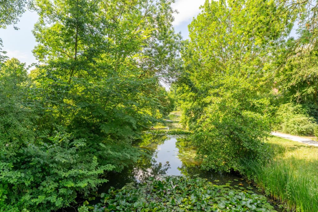 Snoeksloot 114 – Foto 37