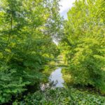 Snoeksloot 114 – Foto 37