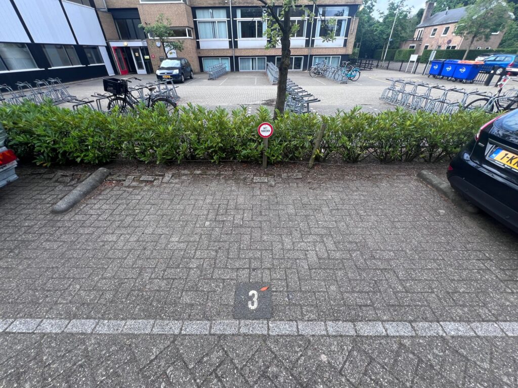 Israelslaan ong – Foto 2