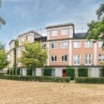 Schijfmos 15 – Foto