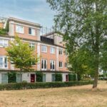 Schijfmos 15 – Foto 2