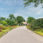 Schijfmos 15 – Foto 4