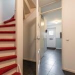 Schijfmos 15 – Foto 3
