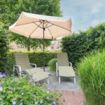 Schijfmos 15 – Foto 31