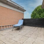 Schijfmos 15 – Foto 32
