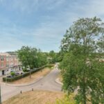 Schijfmos 15 – Foto 37