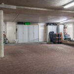 Schijfmos 15 – Foto 38