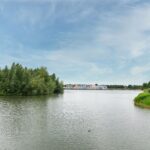 Schijfmos 15 – Foto 41