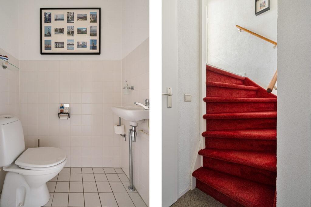 Distelvlinderberm 98 – Foto 3