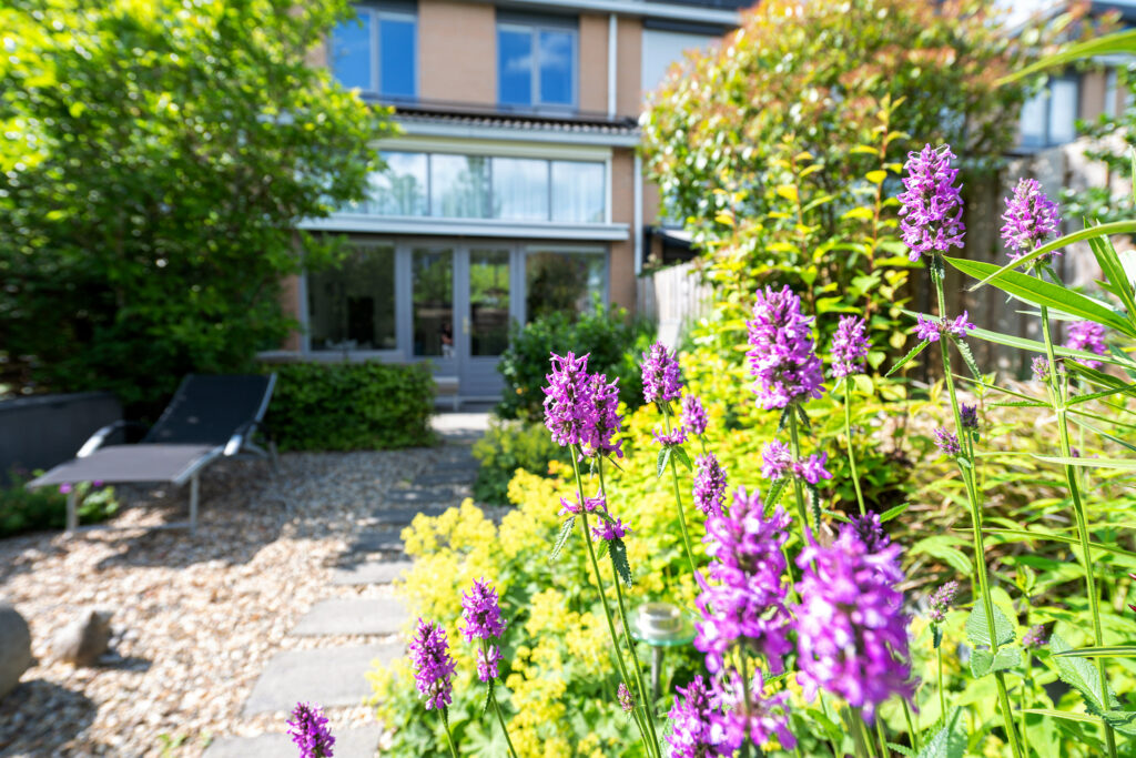 Distelvlinderberm 98 – Foto 35