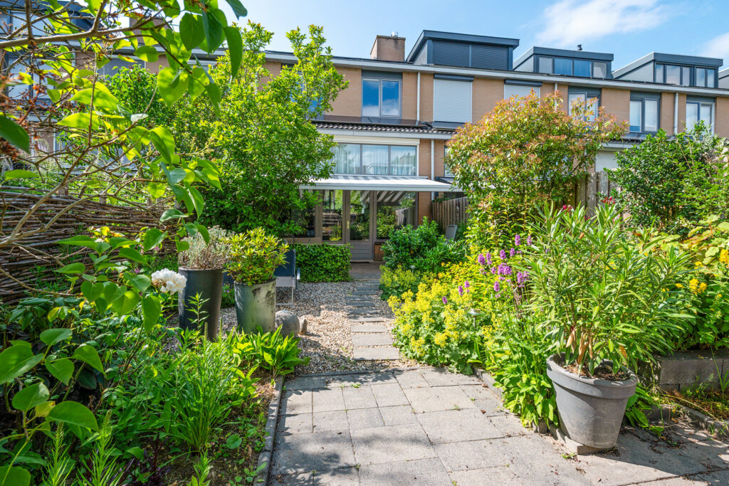 Distelvlinderberm 98 – Foto 43