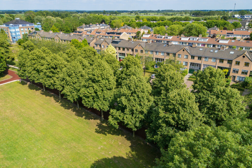 Distelvlinderberm 98 – Foto 42