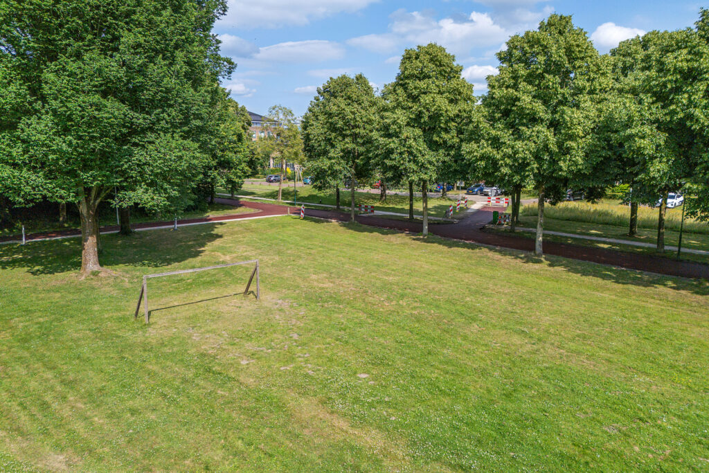 Distelvlinderberm 98 – Foto 44