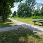 Distelvlinderberm 98 – Foto 47