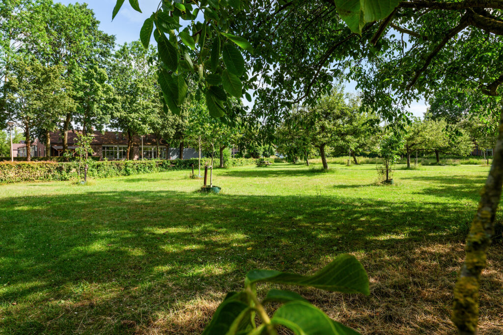 Distelvlinderberm 98 – Foto 49