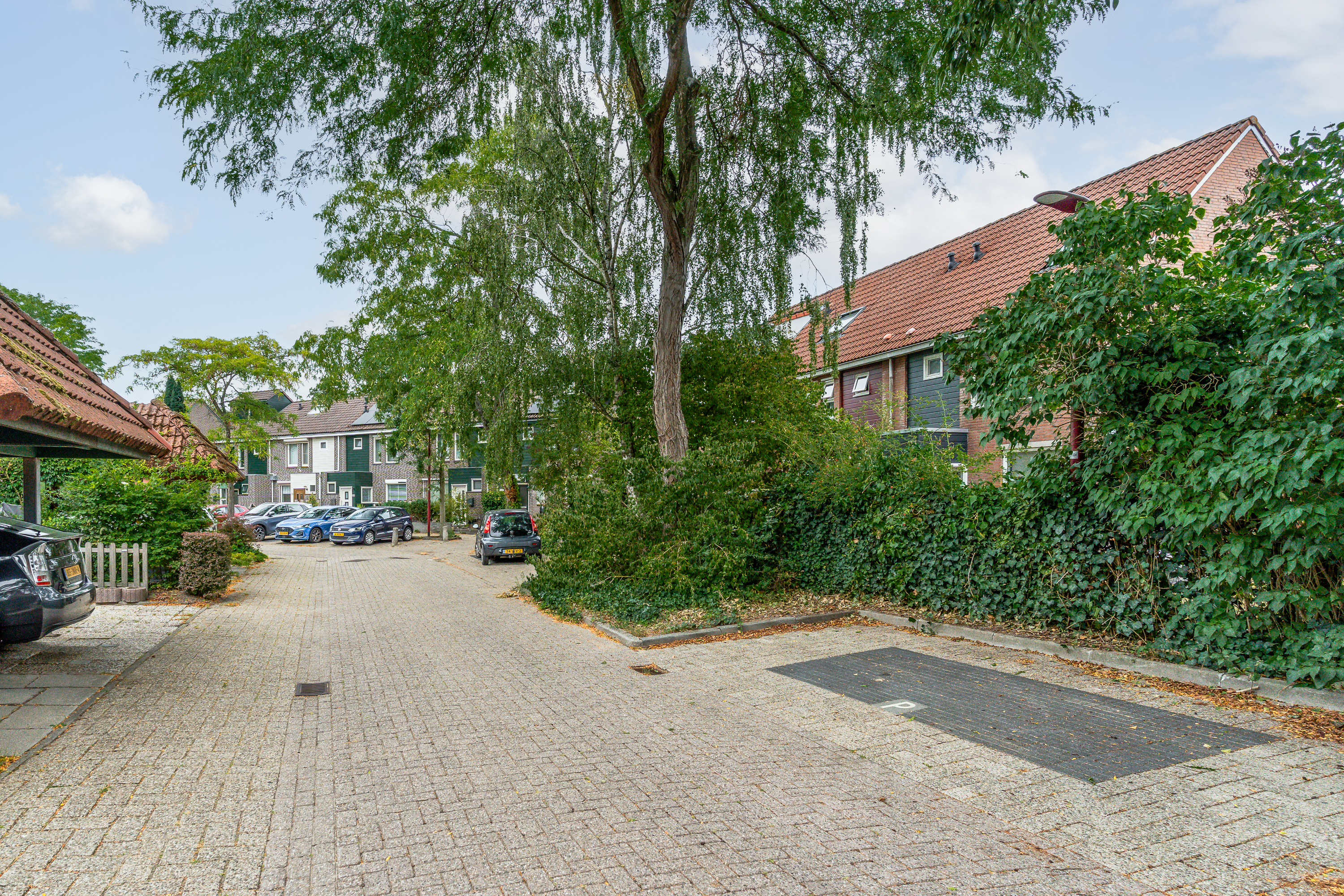 Velduil 2 – Foto 6