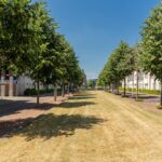 Kaapse Bossen 24 – Foto 39