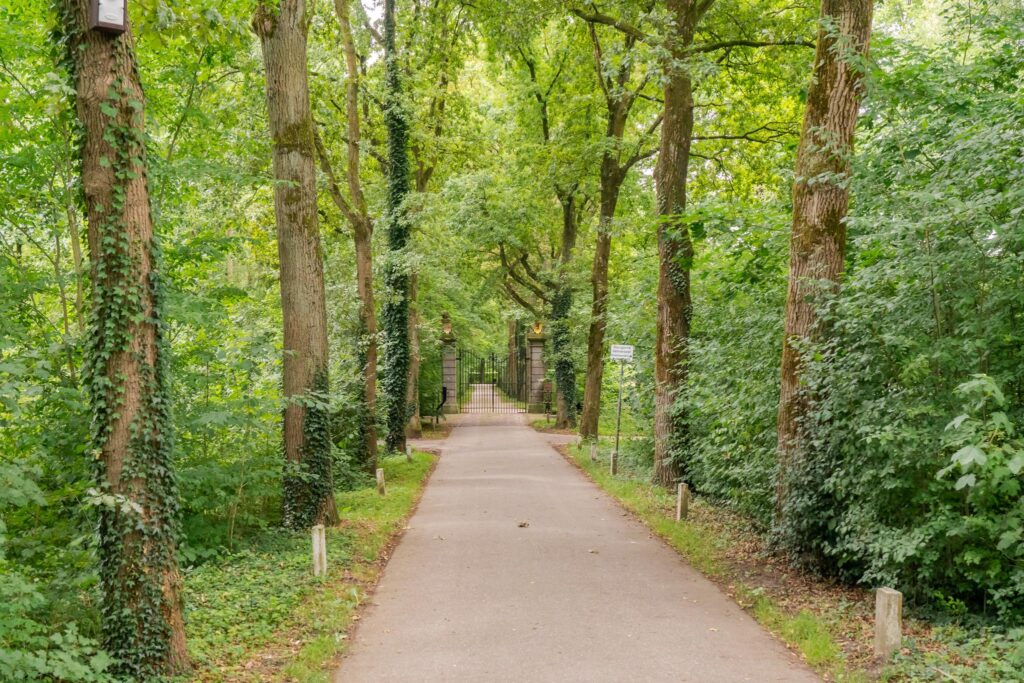 Zwolseveste 71 – Foto 19