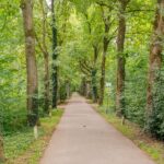 Zwolseveste 71 – Foto 19
