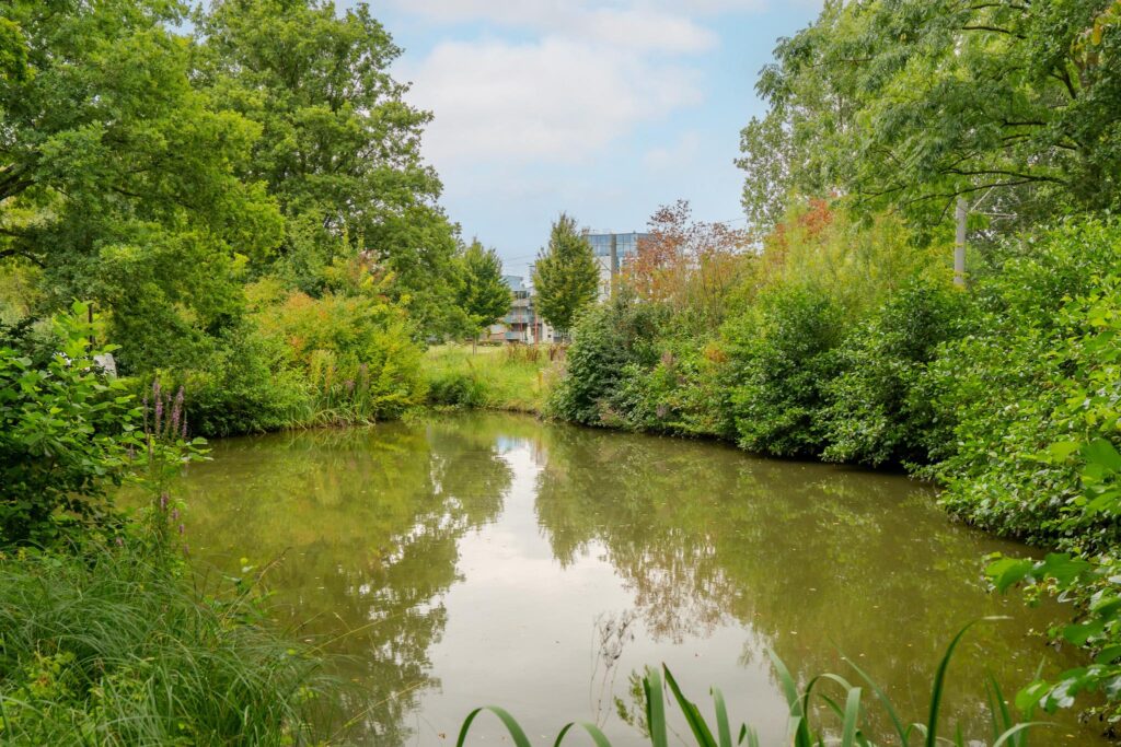 Zwolseveste 71 – Foto 16
