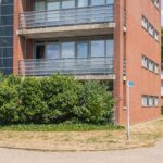 Horigenland 22 – Foto 22