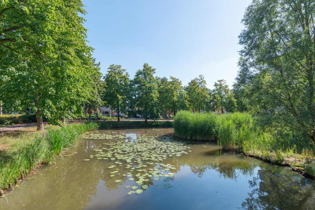 Zuiderbreedte 21 – Foto 4