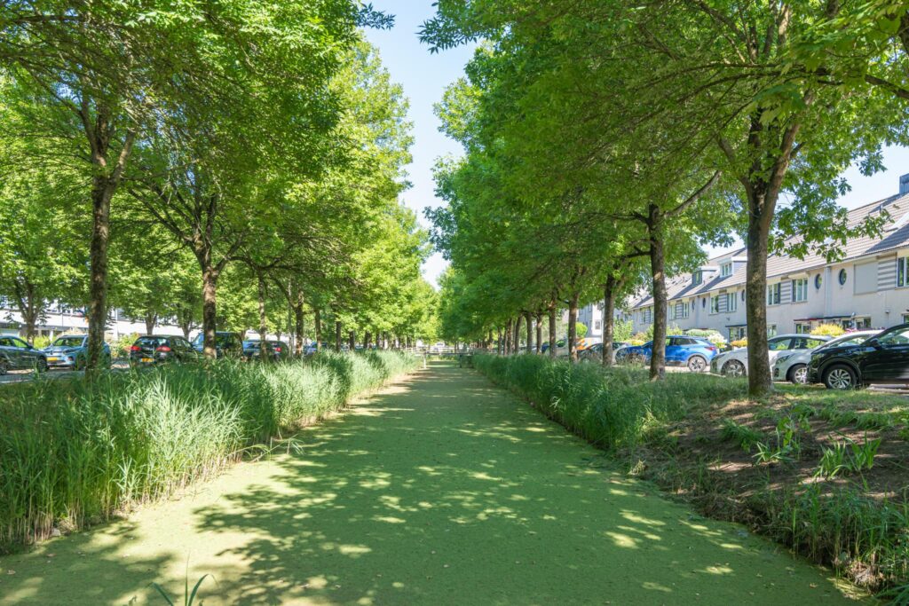 Zuiderbreedte 21 – Foto 2