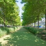 Zuiderbreedte 21 – Foto 2
