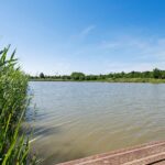 Glorie van Hollanderf 6 – Foto 40