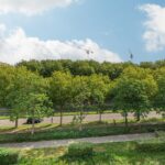 Livingstonelaan 62 – Foto 5