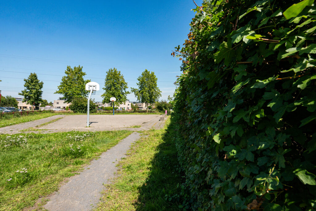 Adriaen van Ostadehage 3 – Foto 34