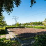 Adriaen van Ostadehage 3 – Foto 35