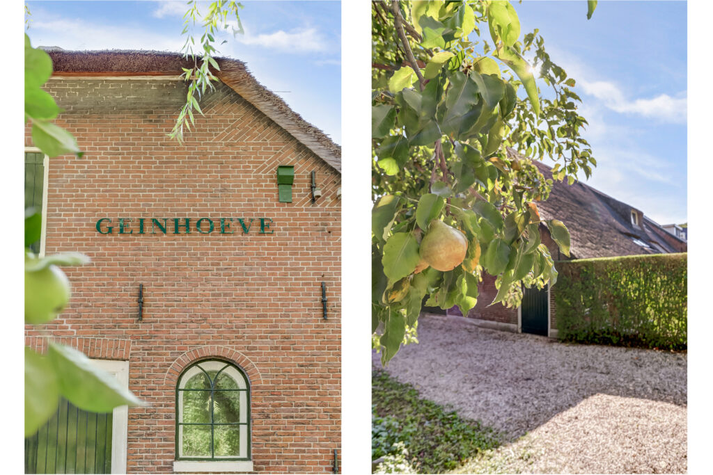 Puccinihof 2A – Foto 71